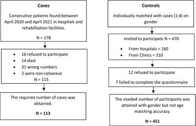 Depression, anxiety, insomnia, stress, and the way of coping emotions as risk factors for ischemic stroke and their influence on stroke severity: A case–control study in Lebanon